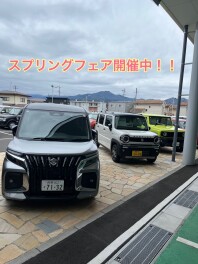 スプリングフェア最終週！！